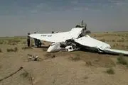 سقوط بالگرد در استان البرز/ خلبان کشته شد