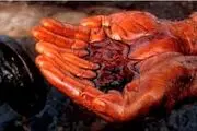 توزیع سراسری و گسترده گازوئیل یورو ۴ در کشور
