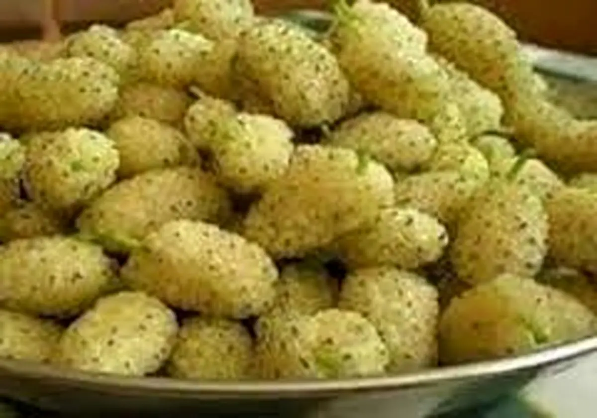 خواص باور نکردنی توت!
