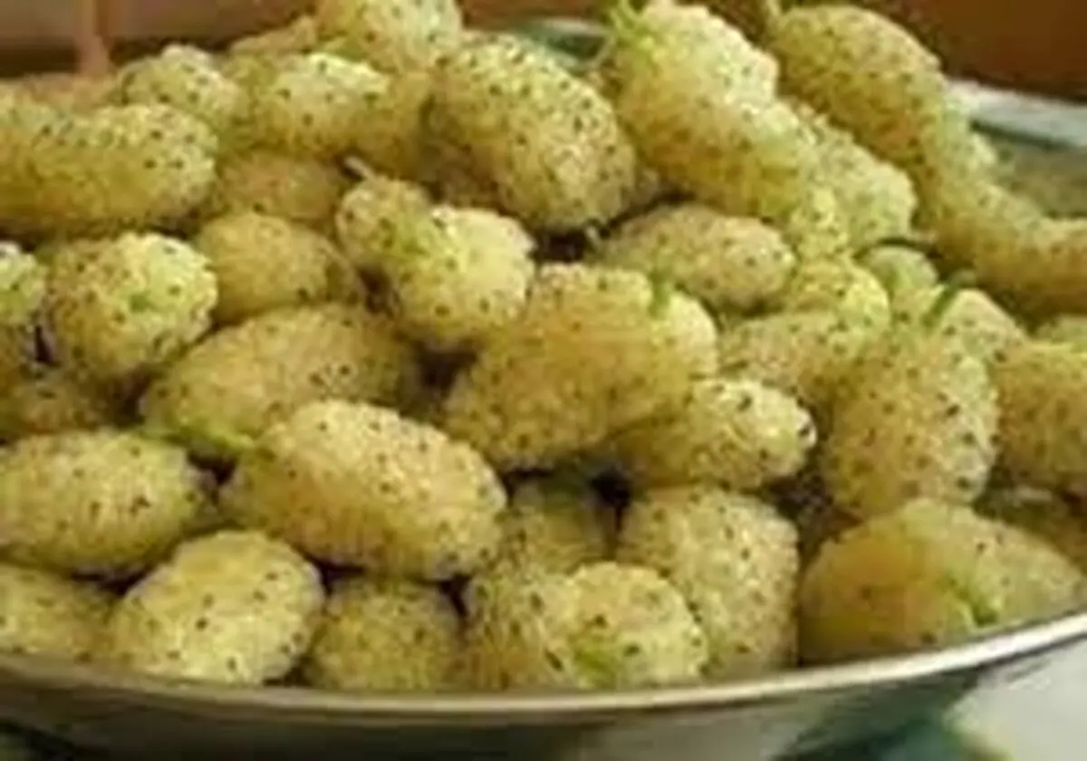 خواص باور نکردنی توت!