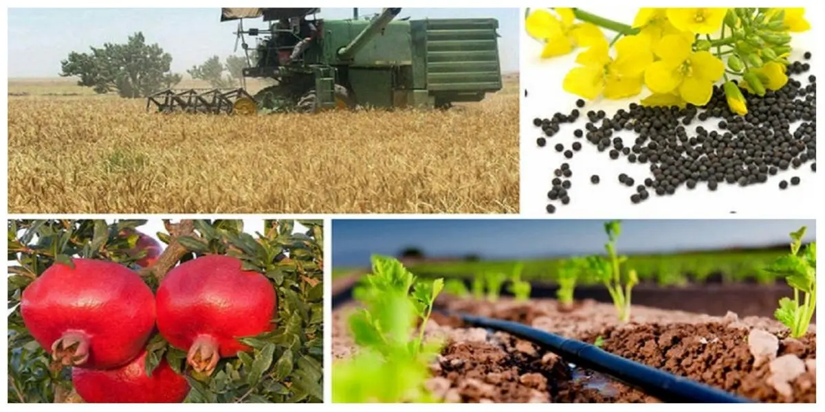 اجرای کشت فراسرزمینی چه مزایایی برای کشور دارد؟