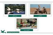 راه‌یابی مجموعه پویانمایی «شتر و آسیابان» به جشنواره فیلم «وزوول» فرانسه