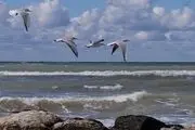 ویژگی‌هایی از دریای خزر که تابحال به گوشتان نخورده است! + اینفوگرافی