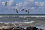 ویژگی‌هایی از دریای خزر که تابحال به گوشتان نخورده است! + اینفوگرافی