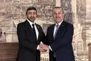 بن‌زاید: از دیپلماسی ترکیه در قبال «اسرائیل» تشکر می‌کنم