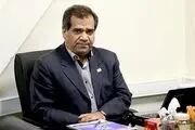 بخش خصوصی کشش خرید باقی‌مانده سهام دولت در شرکت‌ها را ندارد