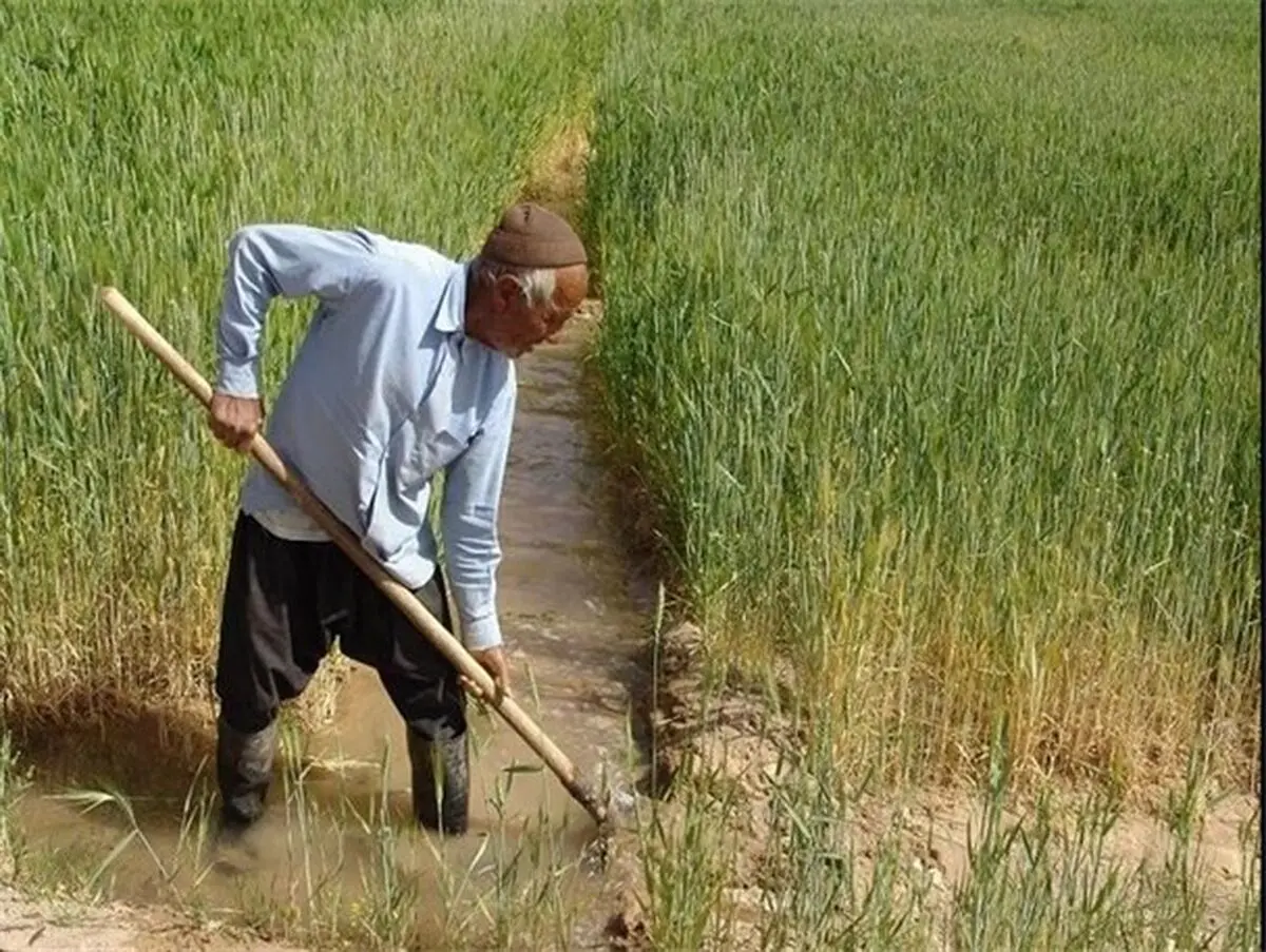 مشکل آب؛ بهانه‌ای برای فرار مدیران از بار مسئولیت «کشاورزی» شده است