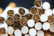سیگار چه کسانی را پولدار کرده است؟