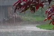 کشاورزان تا هفته آینده اقدام به کوددهی مزارع و باغات کنند
