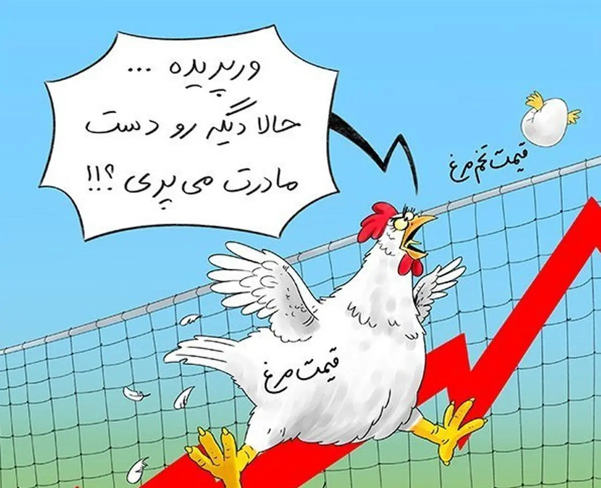 گزارش بانک مرکزی از رکوردشکنی"تخممرغ"