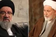 عضو جدید شورای نگهبان با آیت الله یزدی دیدار کرد
