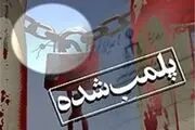 واحد آلاینده رنگرزی در شهرقدس پلمب شد 