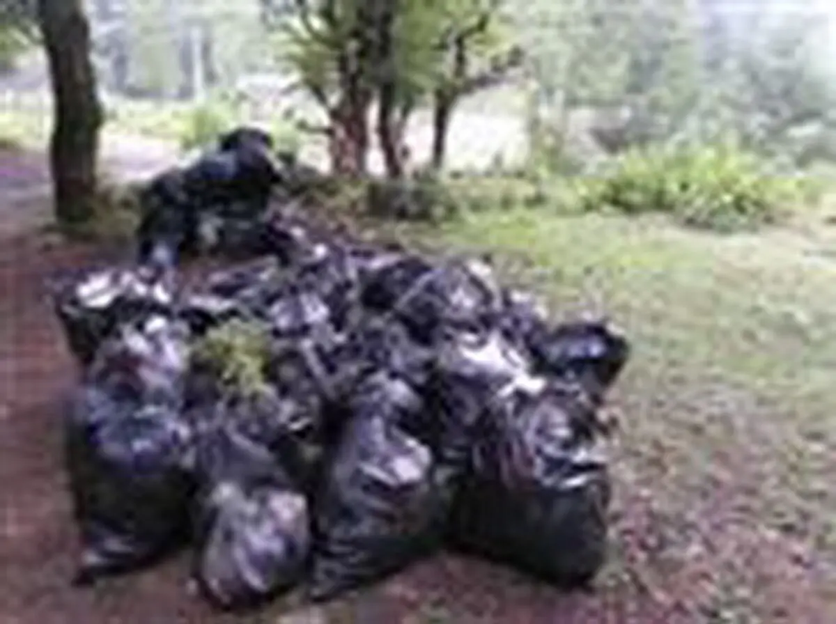 پاکسازی جنگل خرمای اطاقور از زباله
