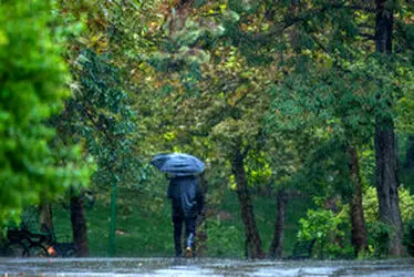 باران پاییزی در تهران/ گزارش تصویری 