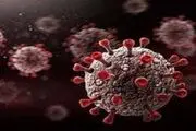 افزایش نوع جدیدی از سویه امیکرون در آمریکا
