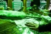  غبارروبی حرم حضرت عبدالعظیم حسنی(ع)/تصاویر