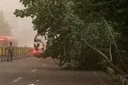 تشدید بارندگی‌ها در پایتخت تا ساعتی دیگر