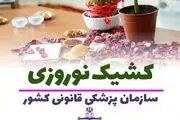  پزشکی قانونی در تعطیلات نوروز کشیک فعال دارد