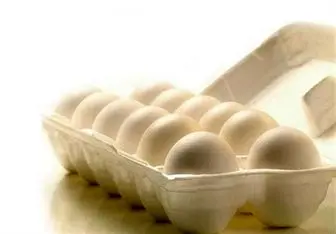 قیمت منطقی هر عدد تخم مرغ در خرده فروشی‌ها اعلام شد