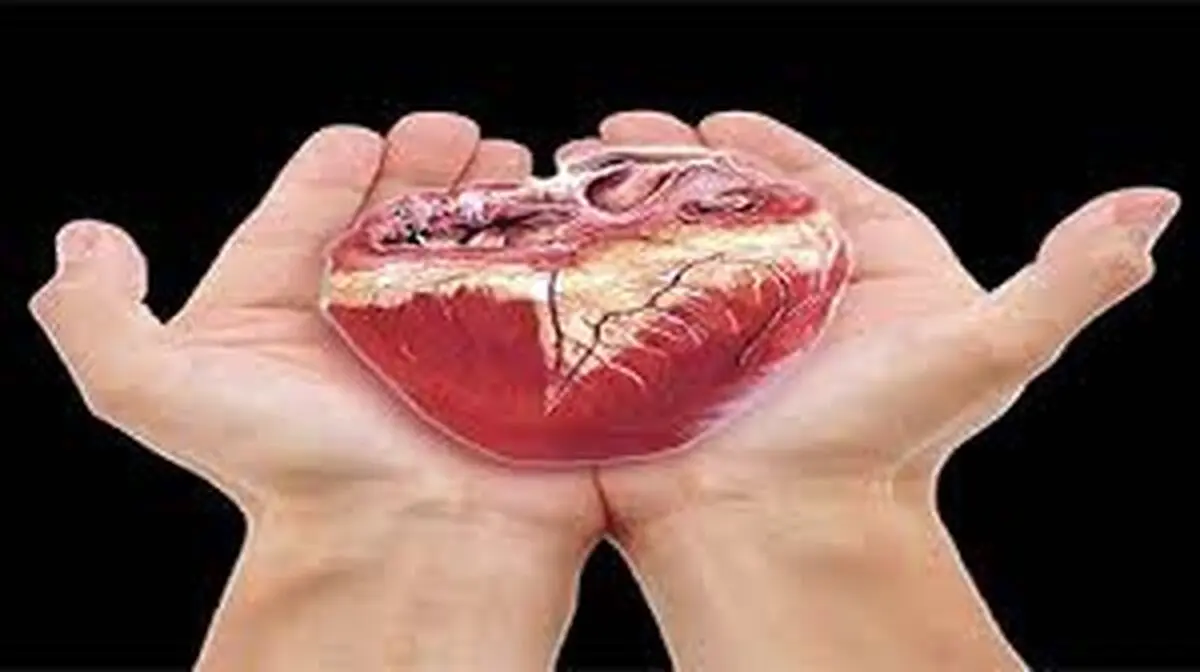 اهداء عضو بیمار مرگ مغزی در مشهد به 4 نفر زندگی دوباره بخشید 