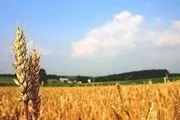 تات، نظامی نوین در ترویج کشاورزی کشور