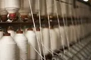 حمایت صندوق توسعه ملی از صنعت نساجی