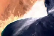 نشت گسترده نفت در عمان