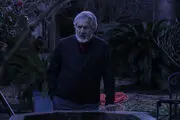 اکران درخت گردو و گیسوم در سینماها