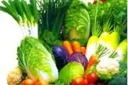 مواد غذایی که از بروز سرطان جلوگیری می کند 