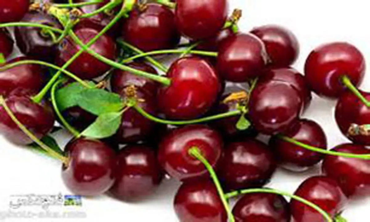 قیمتهای باورنکردنی میوه های نوبرانه