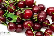 قیمتهای باورنکردنی میوه های نوبرانه