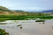 طغیان رودخانه سیمره و خسارت زدن به باغات و اراضی کشاورزی سیروان+تصاویر