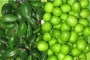 گوجه سبزهایی که نباید بخورید
