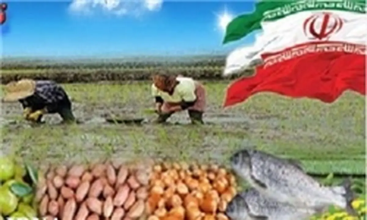 توزیع بیش از 156 هزار تن محصولات کشاورزی و دامی در گیلان