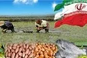 توزیع بیش از 156 هزار تن محصولات کشاورزی و دامی در گیلان