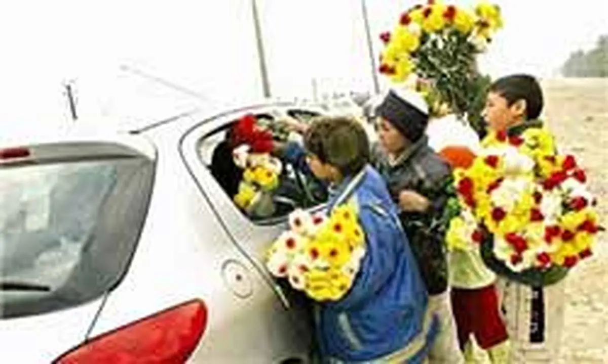 چهارراه فال فروشی، بنبست آرزوها