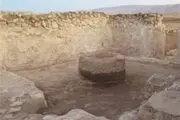 اسب بال‌دار را ببینید! + عکس