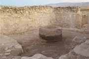 اسب بال‌دار را ببینید! + عکس