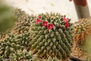 2021146__MG_0621