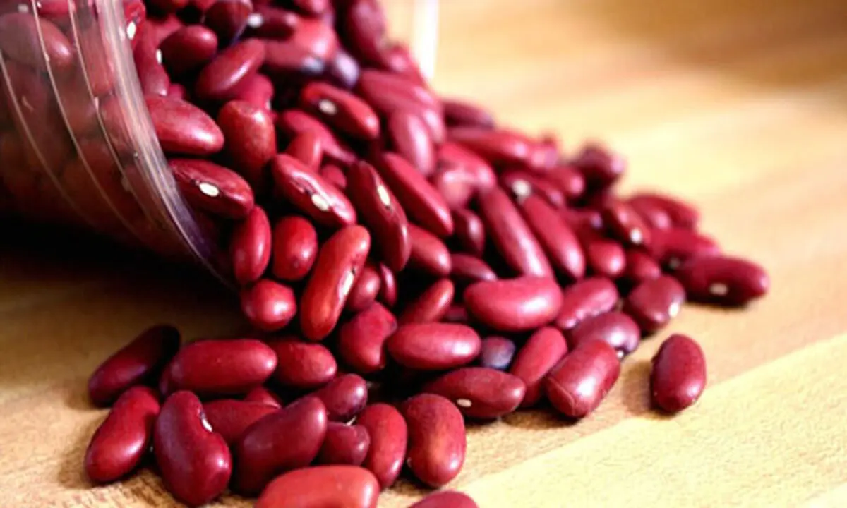 خواص لوبیا قرمز برای لاغری، قلب و گوارش