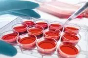 تولید کیت‌های درمانی متفاوت توسط یک شرکت دانش بنیان
