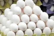 قیمت هر شانه تخم مرغ ۳۰ عدد بسته بندی ۱۱۸ هزارتومان اعلام شد
