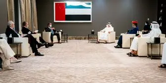دیدار برایان هوک با وزیرخارجه امارات 