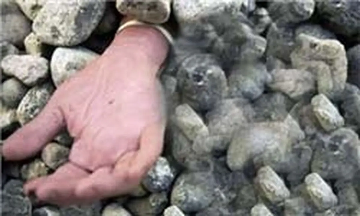 سنگسار دختر سوری به علت عضویت در فیس‌بوک