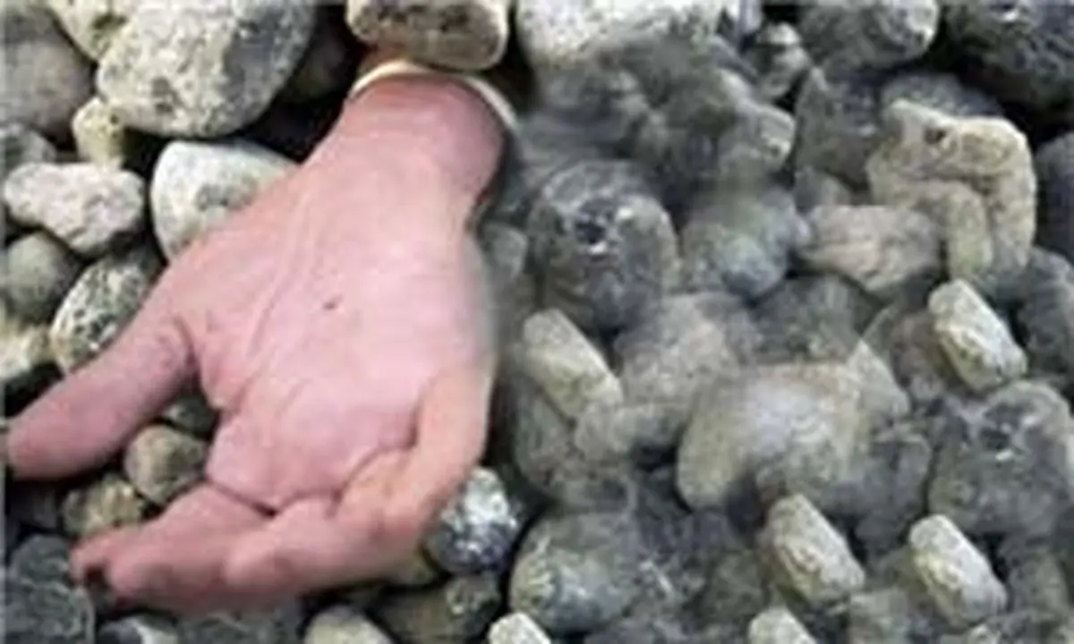 سنگسار دختر سوری به علت عضویت در فیس‌بوک