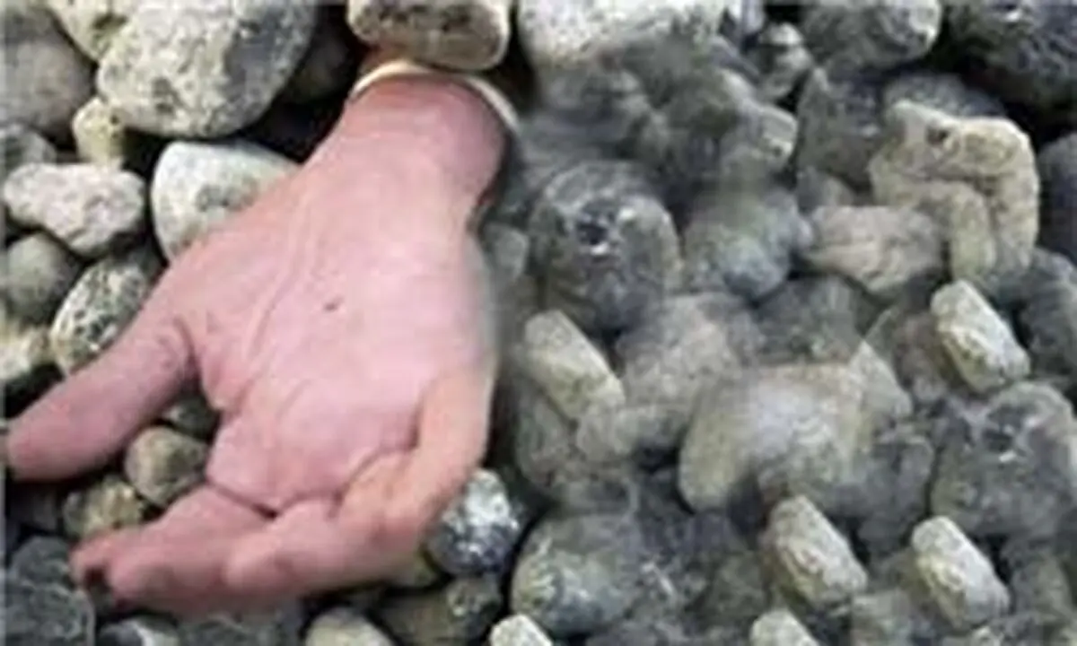 سنگسار دختر سوری به علت عضویت در فیس‌بوک