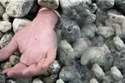 سنگسار دختر سوری به علت عضویت در فیس‌بوک