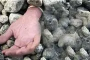 سنگسار دختر سوری به علت عضویت در فیس‌بوک