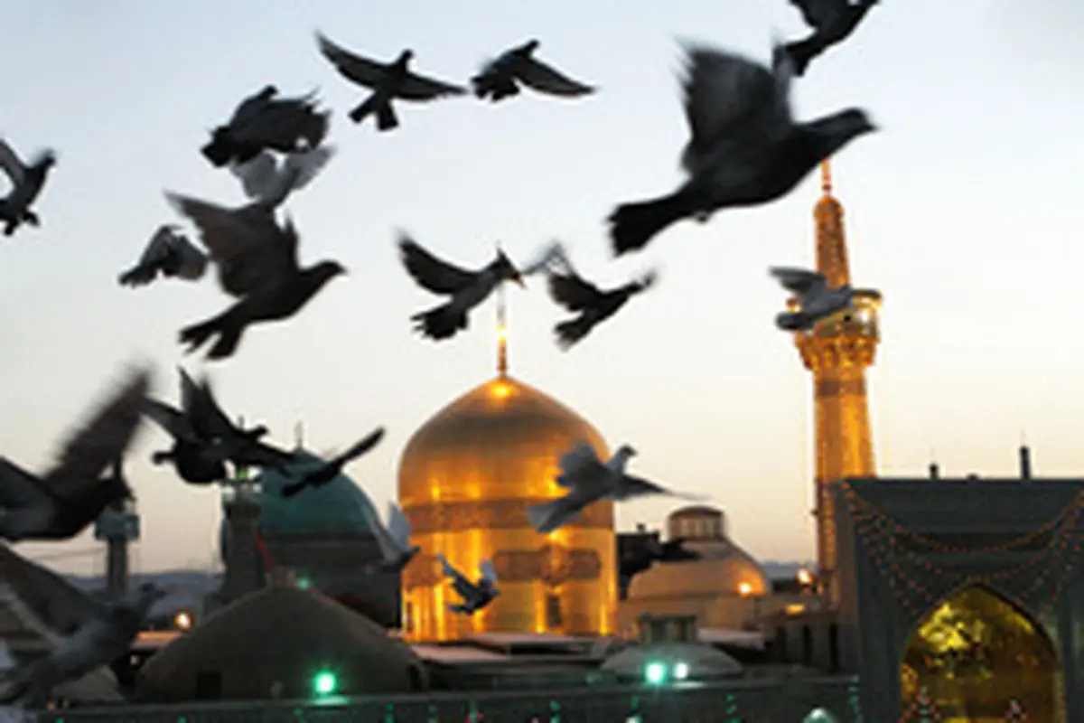 علت «رضا» لقب گرفتن امام هشتم