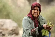 بازگشت خانم بازیگر محبوب به تلویزیون پس از مدتها/عکس